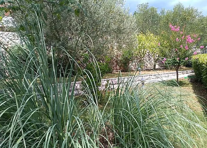 Mediterranean Garden * غييكا