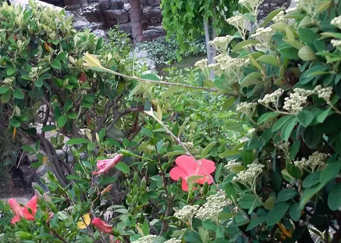 شقة Mediterranean Garden