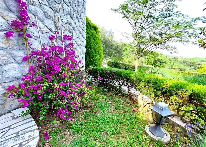 Mediterranean Garden *