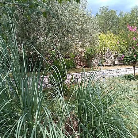 Mediterranean Garden * Rijeka