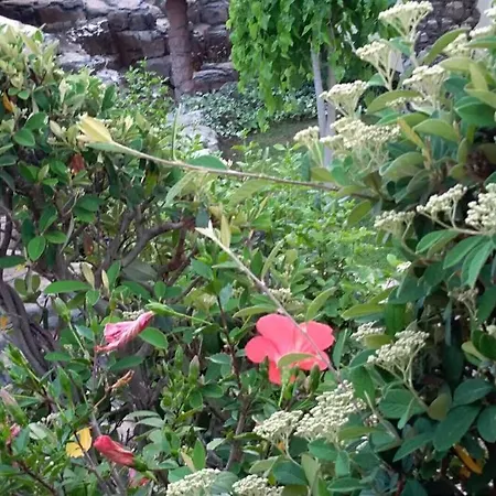 Apartment Mediterranean Garden