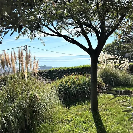 Mediterranean Garden