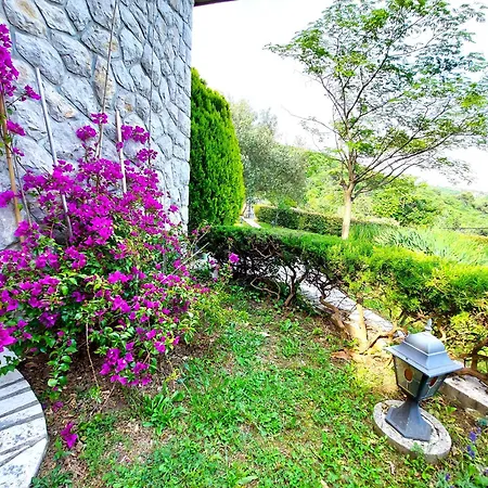 Mediterranean Garden *