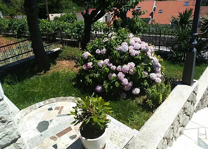 Mediterranean Garden * רייקה