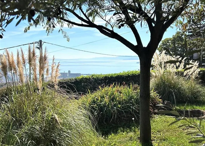 Mediterranean Garden